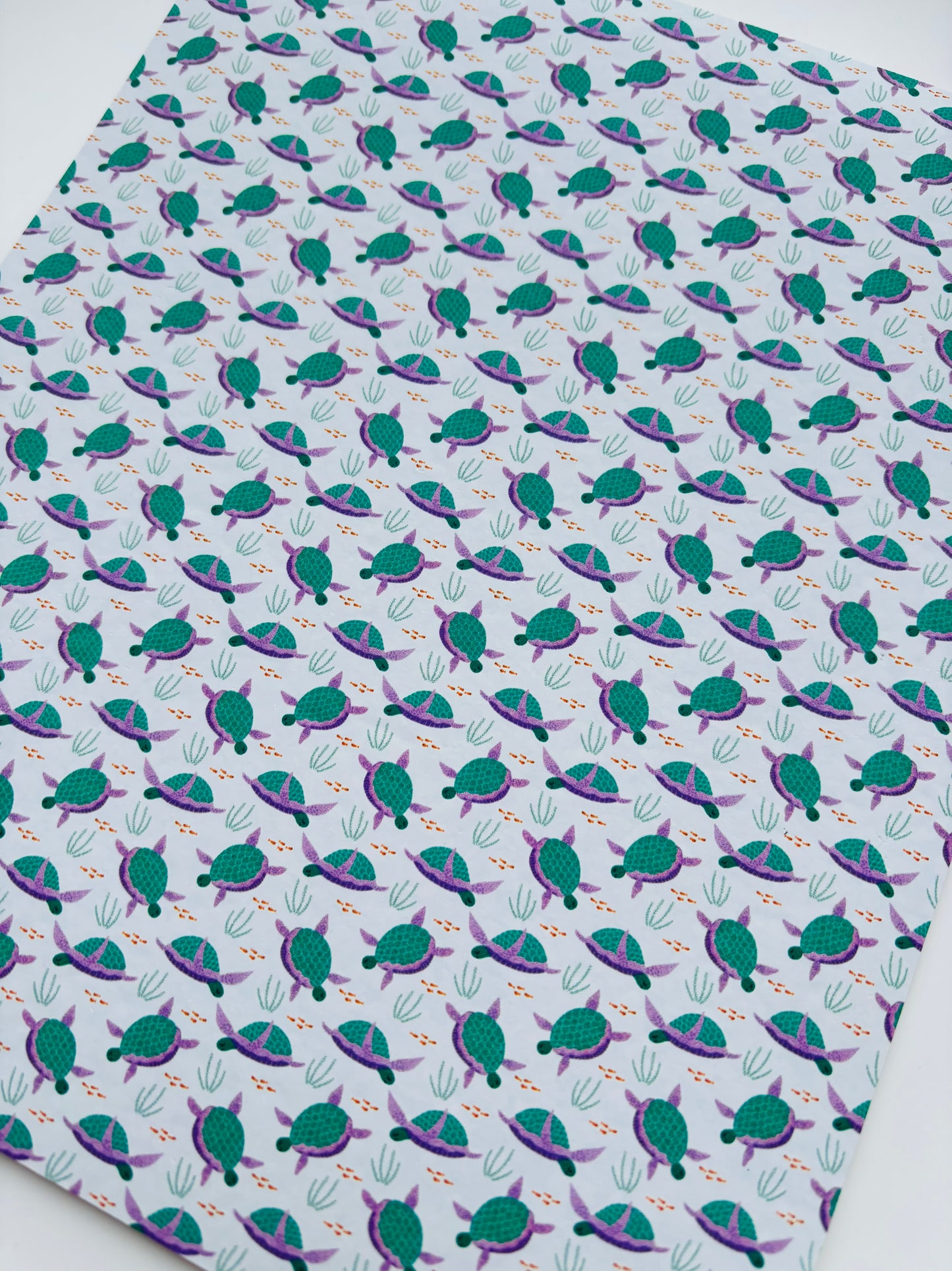 Sea Turtles