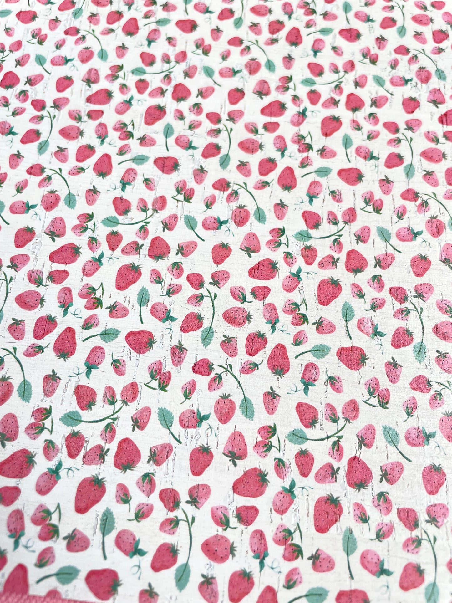 Strawberry Shortcake Collection COL