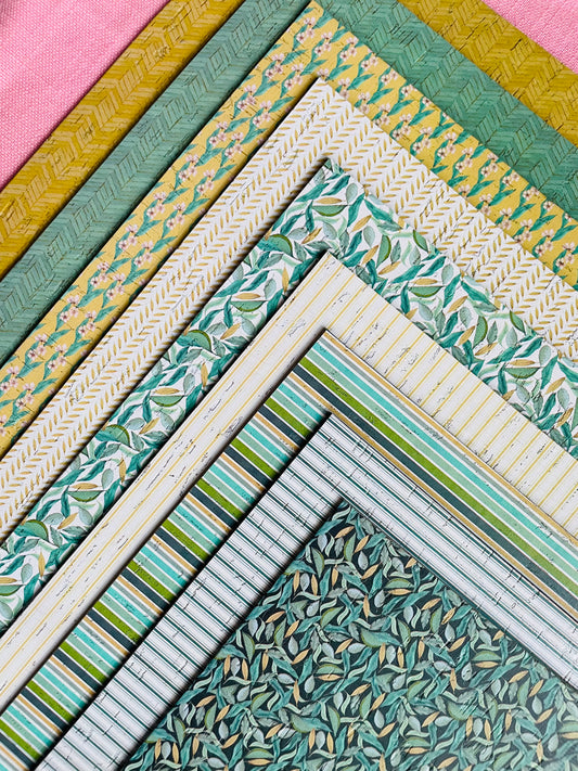 Tropical Palm Collection COL