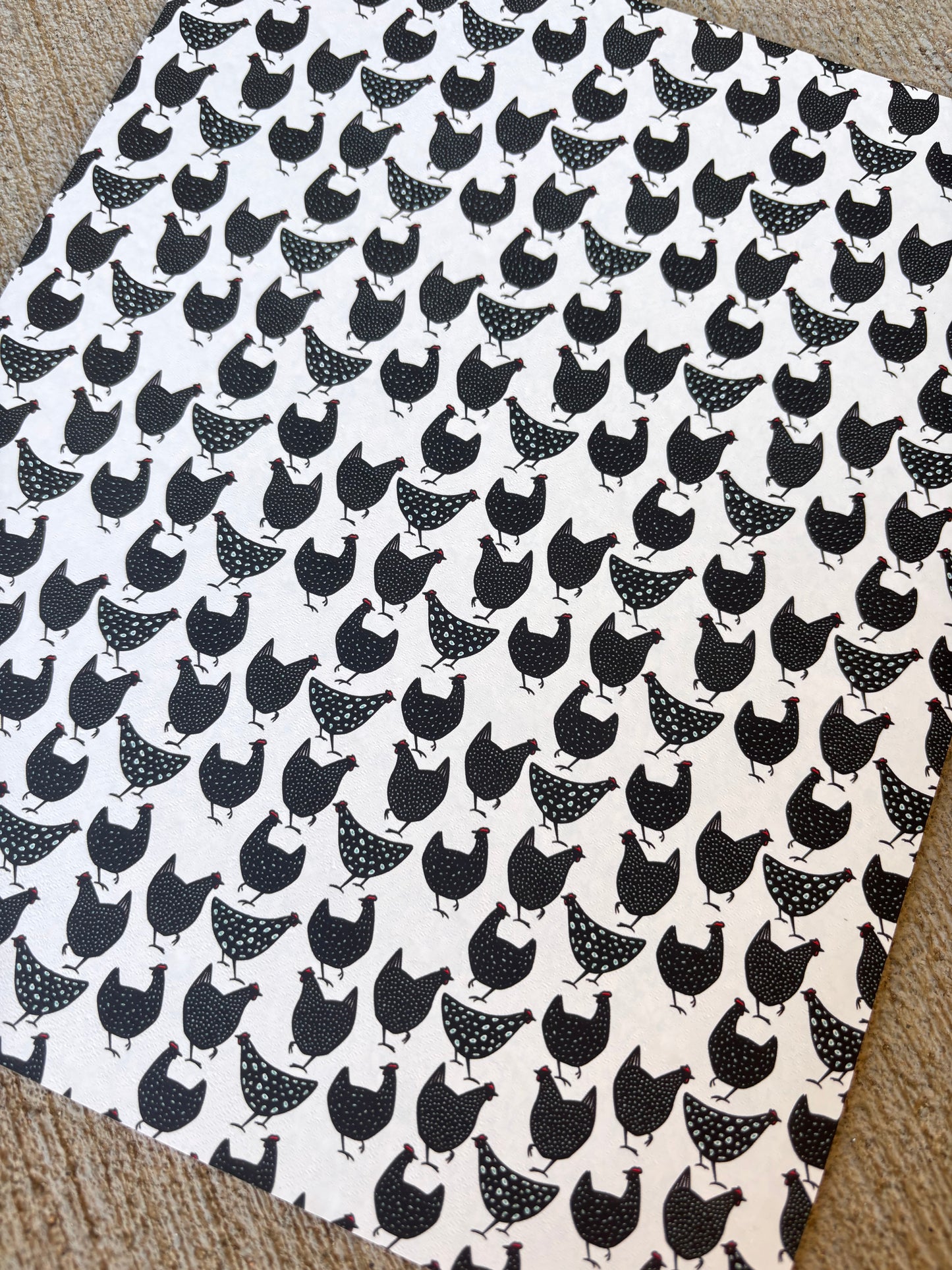 Black and white Chickens