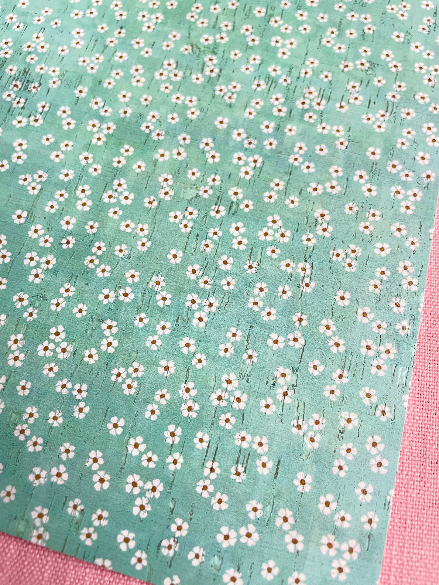 Strawberry Shortcake Collection COL